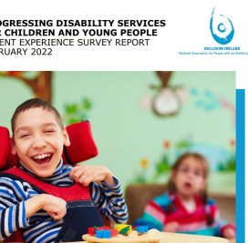 Progressing Disability Services for Children and Young People – Parent Experience Survey Report-image