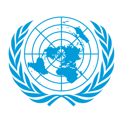 Ireland accede to the Optional Protocol of the United Nations Convention for the Rights of People with Disabilities