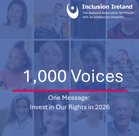 Inclusion Ireland Budget Submission 2026-image