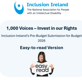 Inclusion Ireland Budget Submission – Easy-to-read-image
