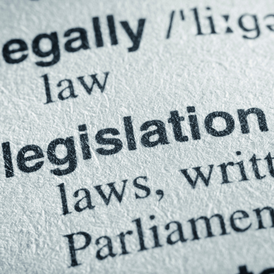 Inclusion Ireland and AsIAm welcome the publication of the Pre‑Legislative Scrutiny of the General Scheme of the Disability (Amendment) Bill 2025.